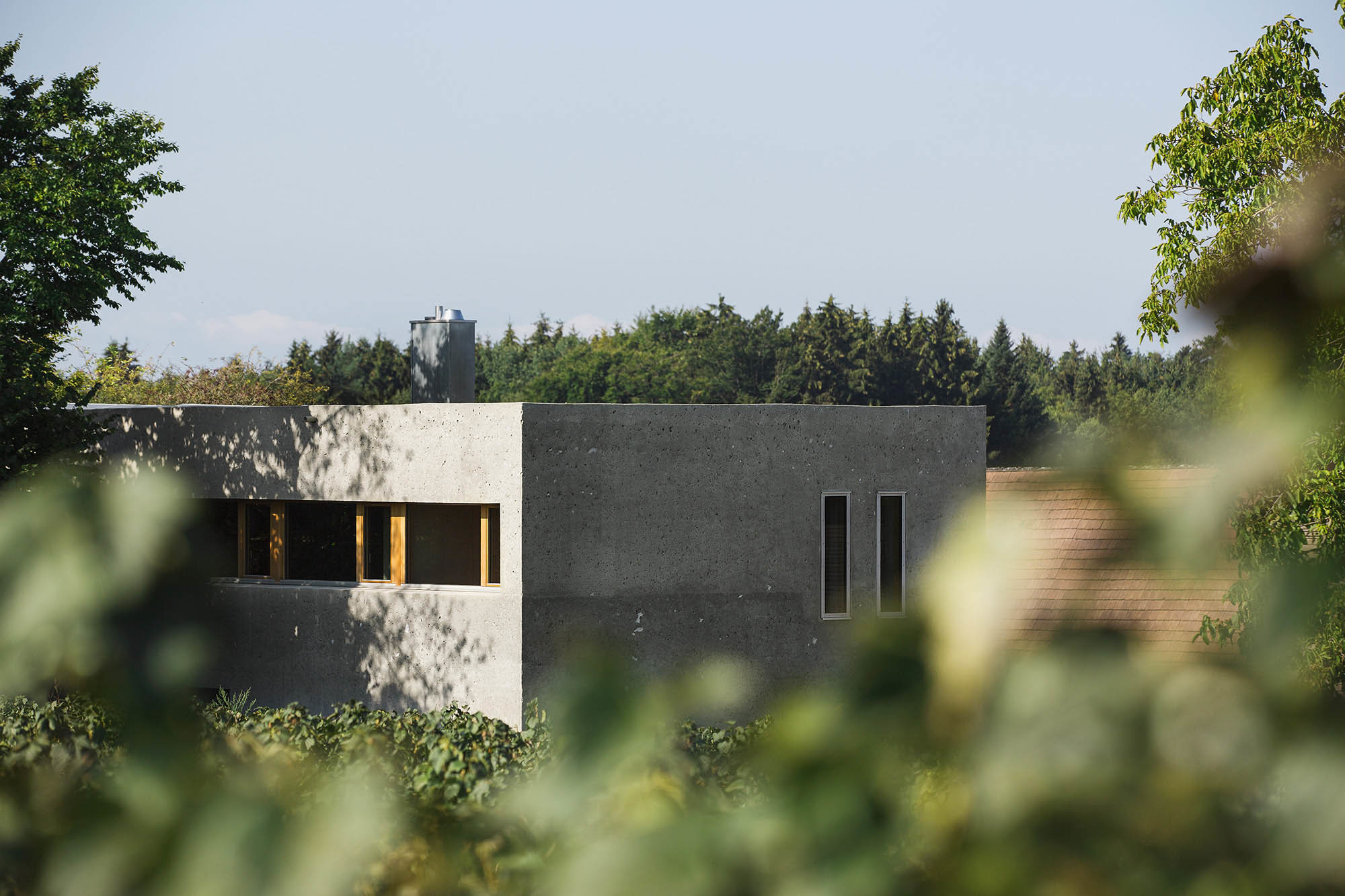 Architektenpaar baut in Dämmbeton / Musterhaus - Architektur und ... ^ Architektenpaar baut in Dämmbeton / Musterhaus - Architektur und ...