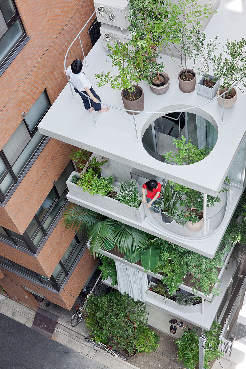 Wohnhaus von Ryue Nishizawa / Vertikaler Garten in Tokio Architektur