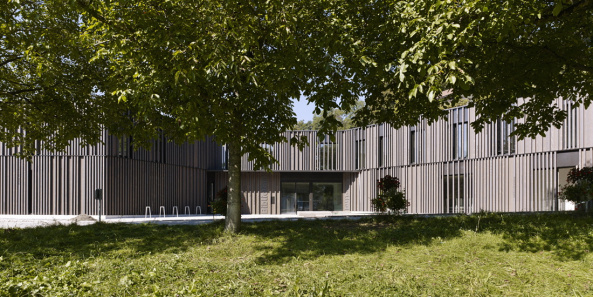 Bildergalerie Zu Bibliothek In Der Schweiz Buch Und