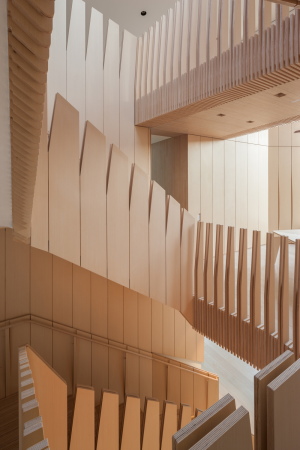 Bildergalerie zu: Wohnhaus von NADAAA in Washington / Multiplex für ... Bildergalerie zu: Wohnhaus von NADAAA in Washington / Multiplex für ...